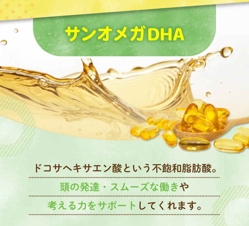 レヨンブレインフード