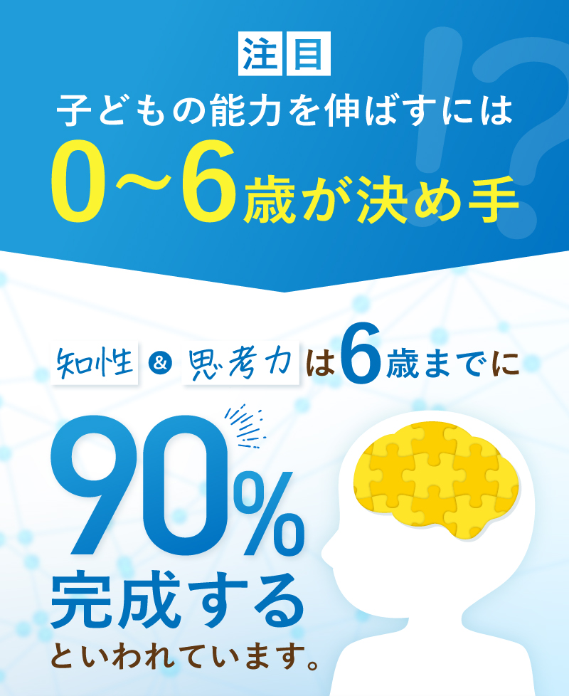 レヨンブレインフード