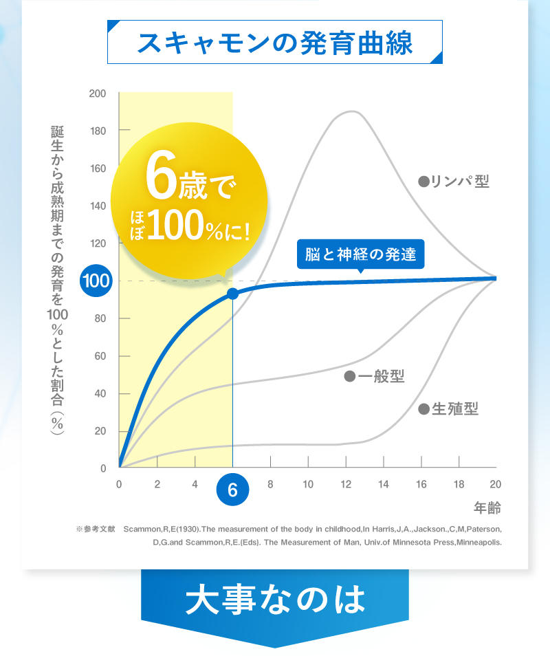 レヨンブレインフード