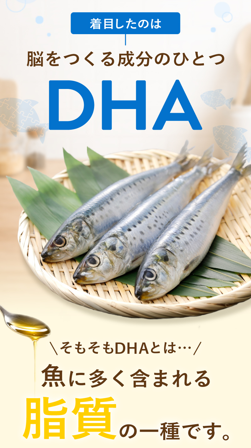 レヨンブレインフード
