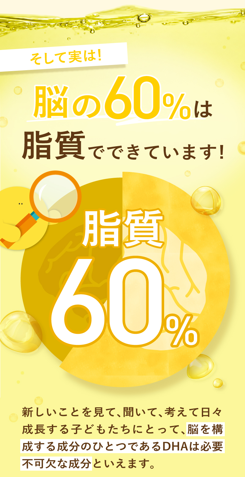 レヨンブレインフード