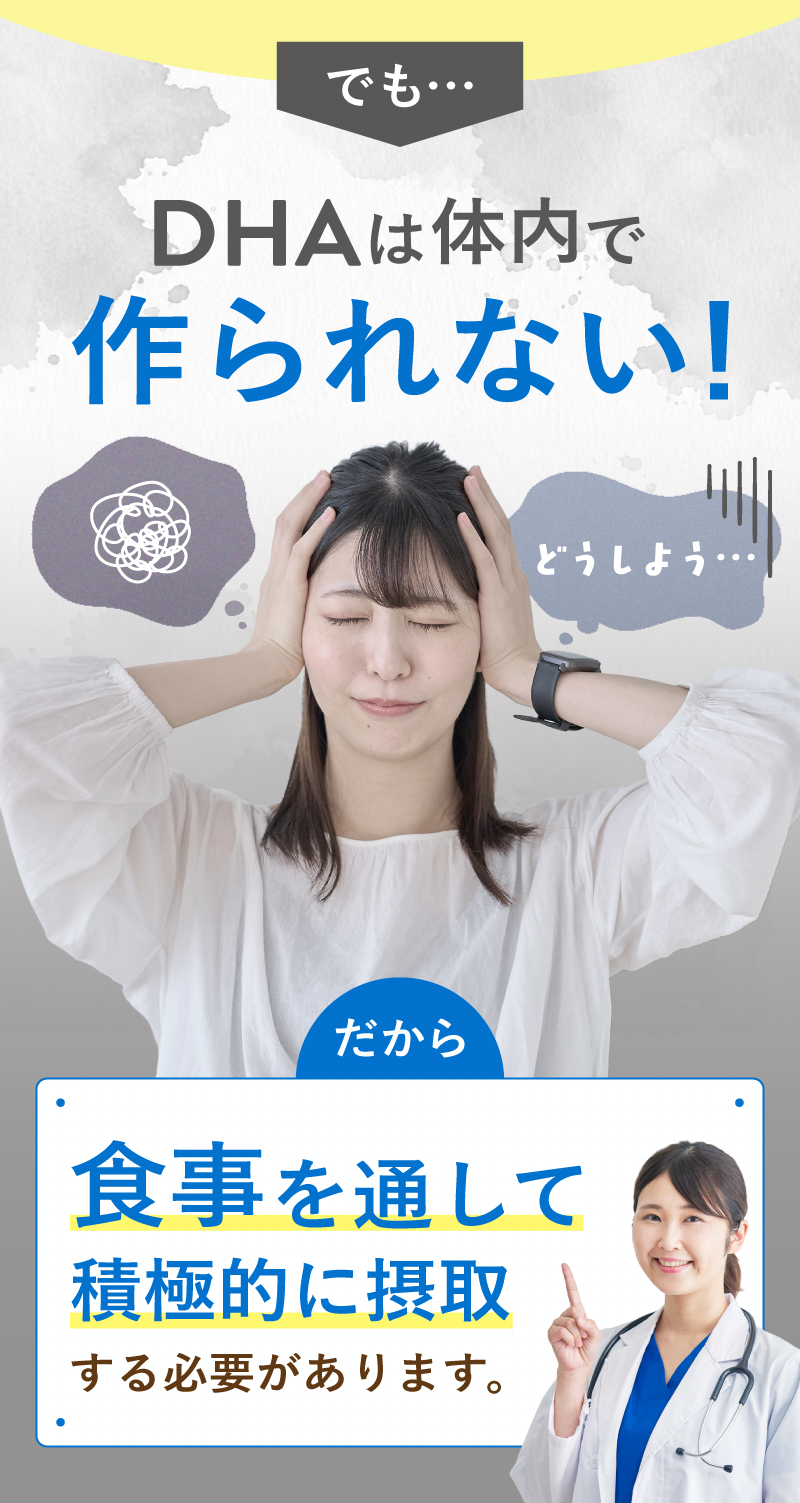 レヨンブレインフード