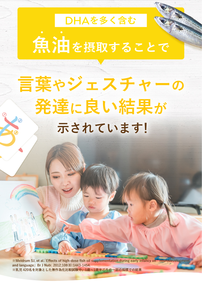 レヨンブレインフード