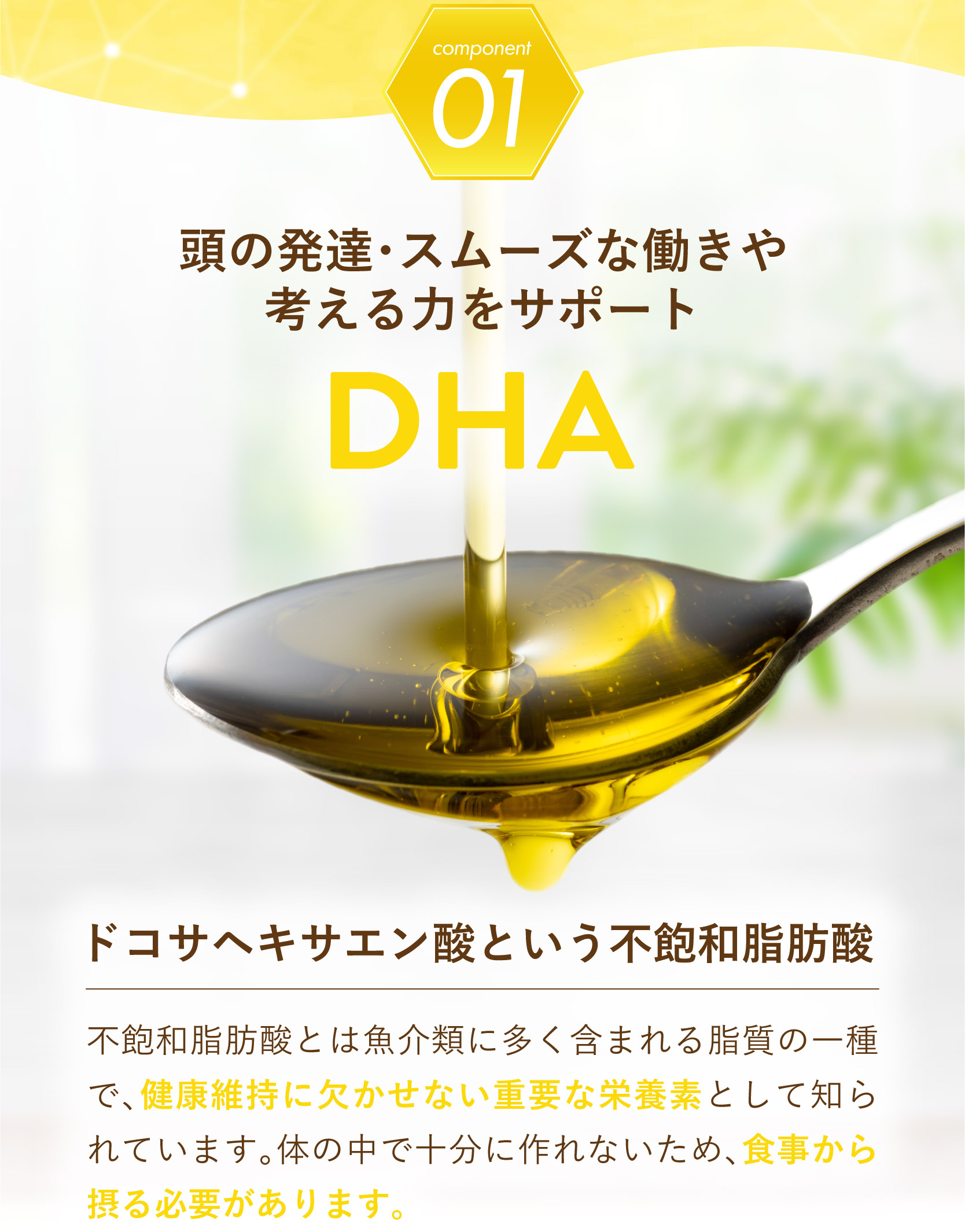 レヨンブレインフード