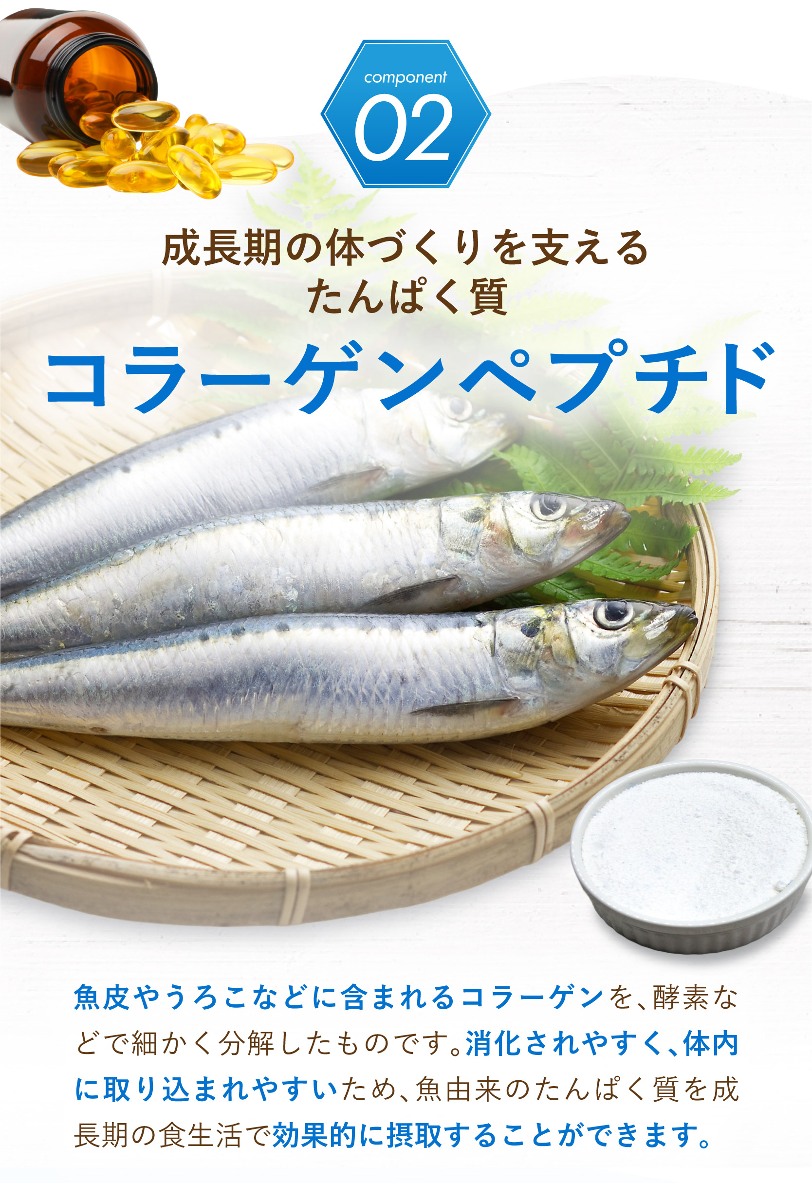 レヨンブレインフード