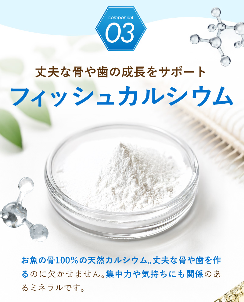 レヨンブレインフード