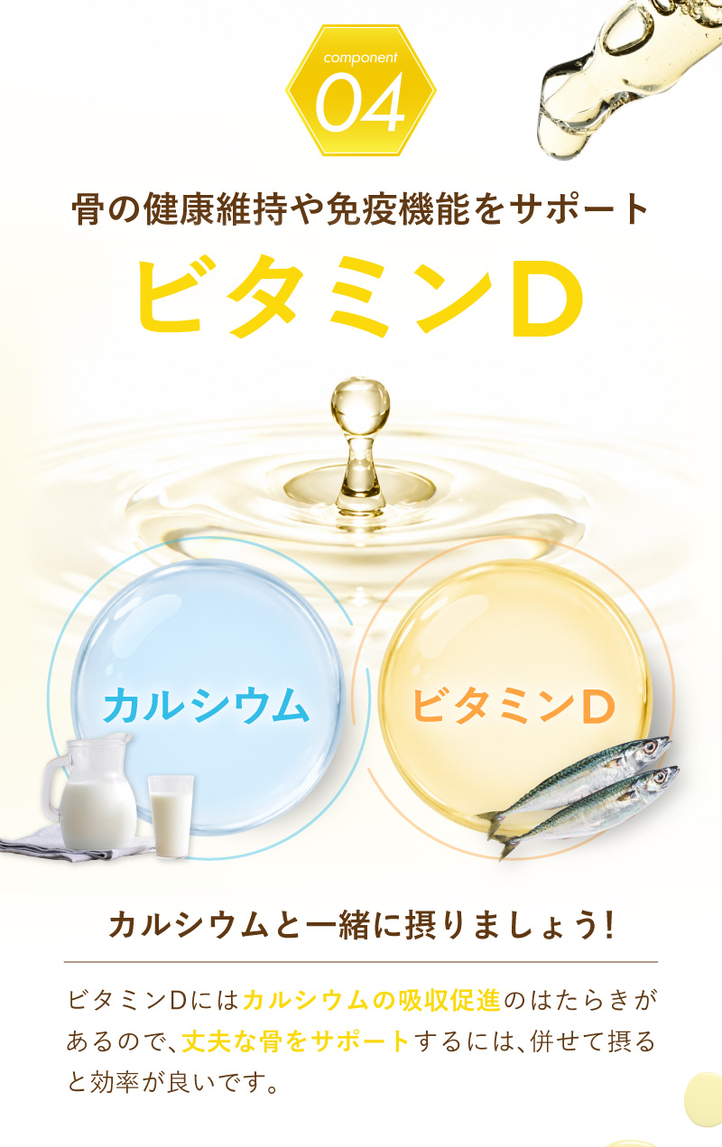 レヨンブレインフード