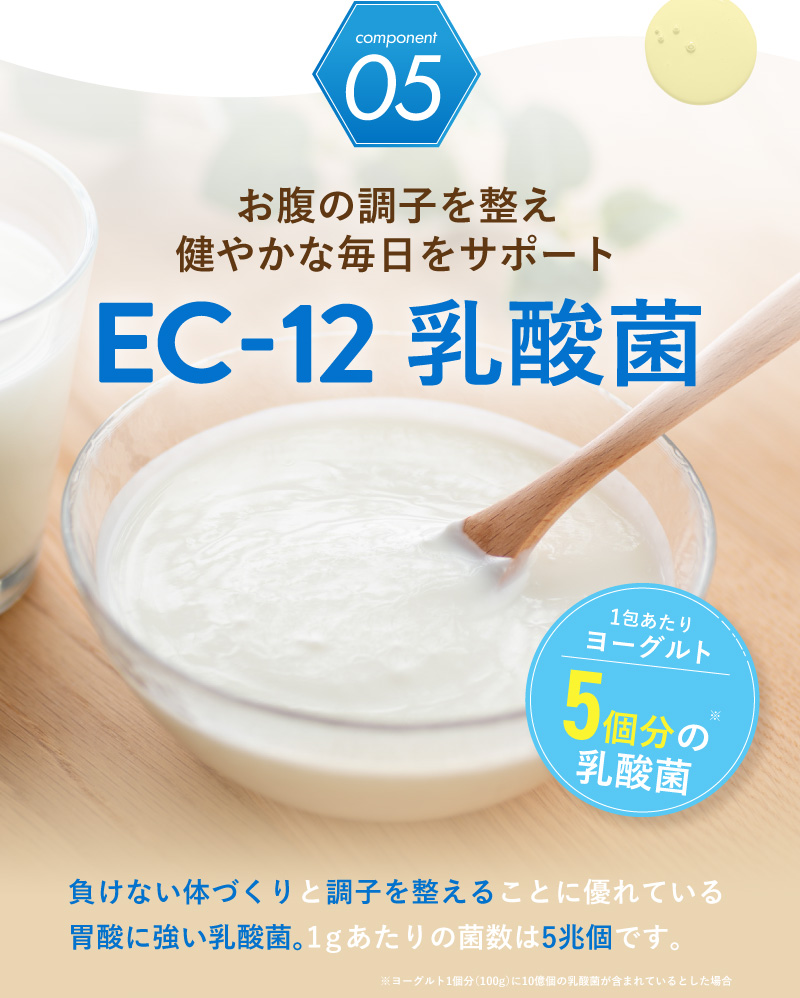 レヨンブレインフード