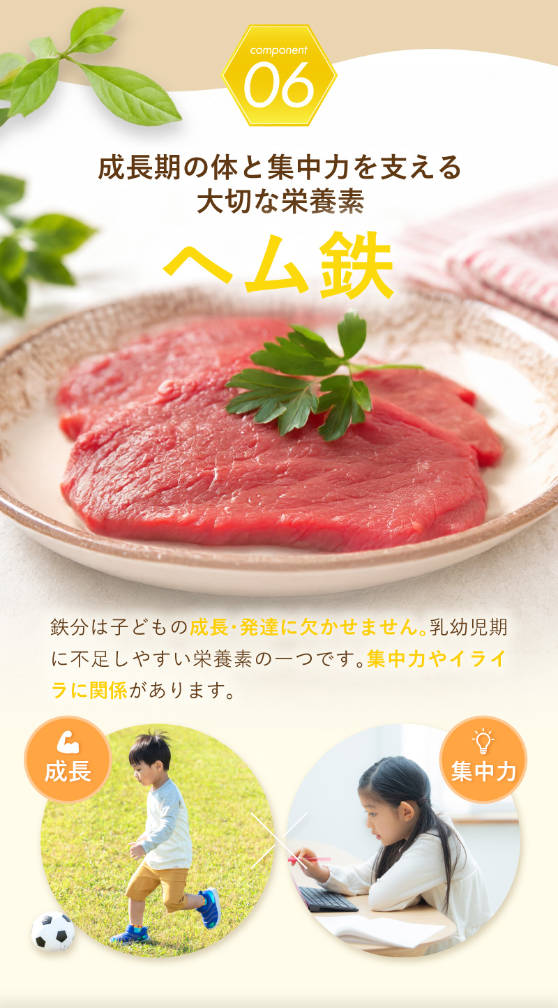 レヨンブレインフード