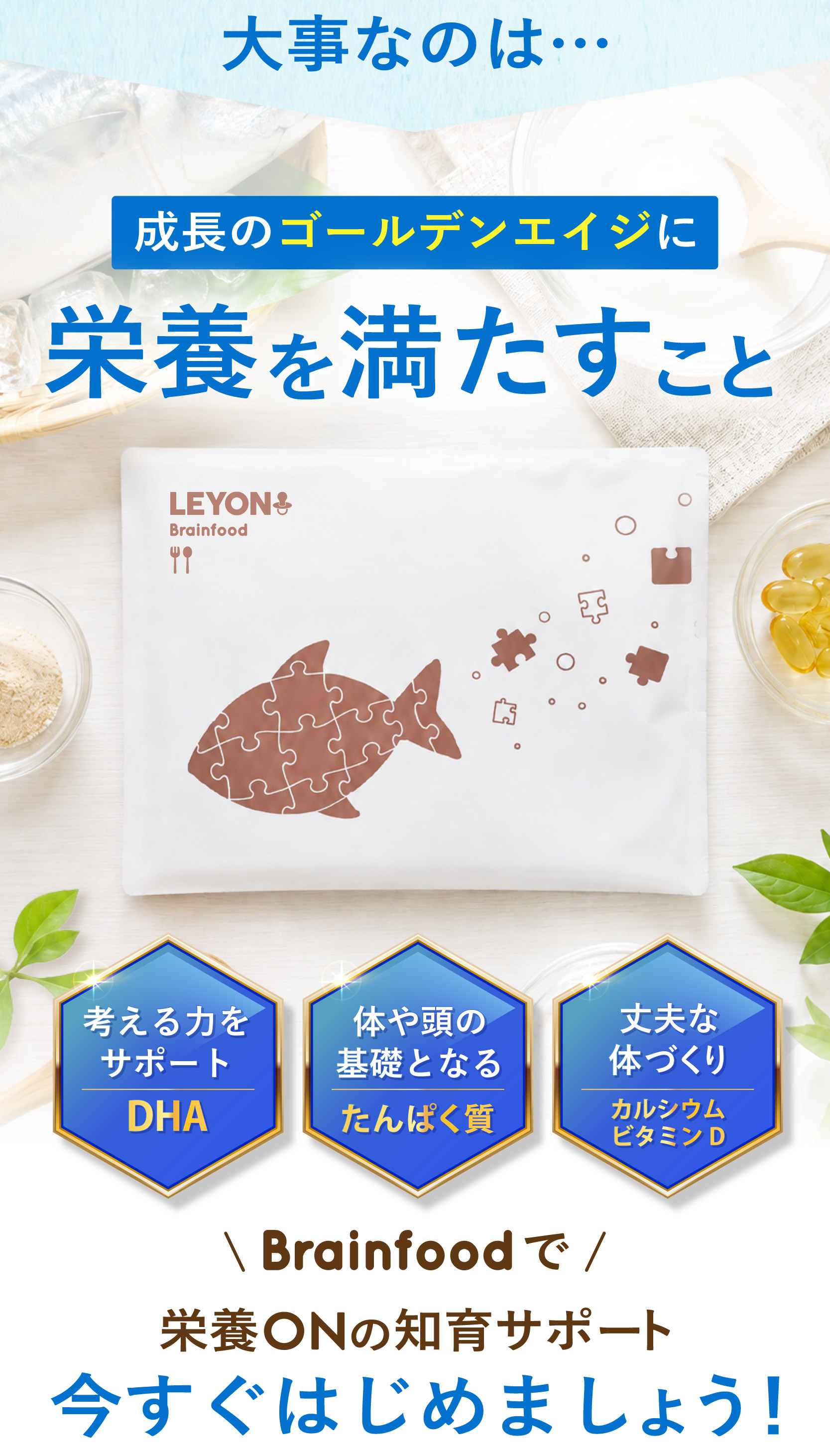 レヨンブレインフード