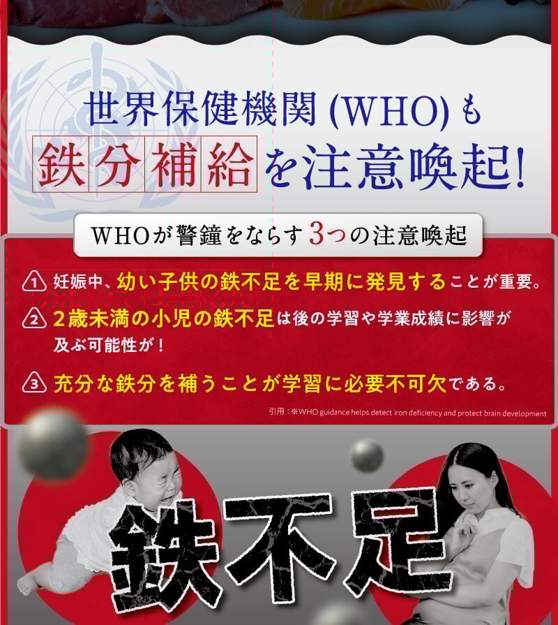 レヨンスタディフード