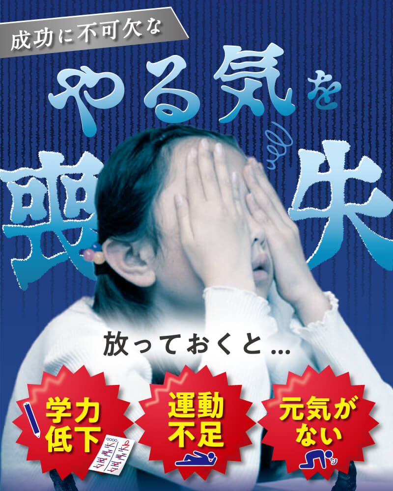 レヨンスタディフード