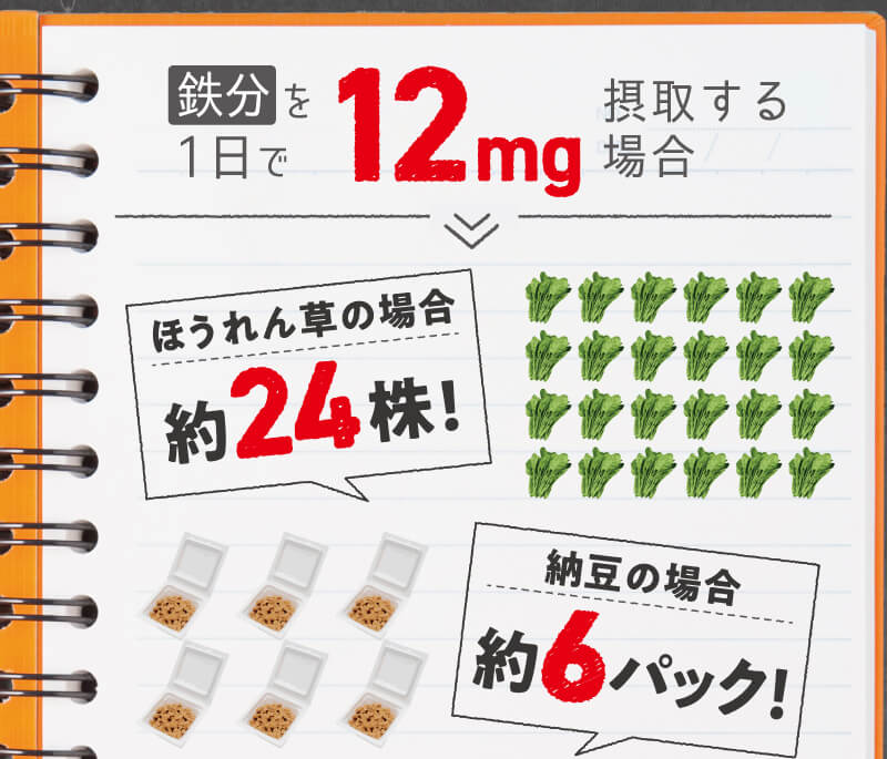 レヨンスタディフード