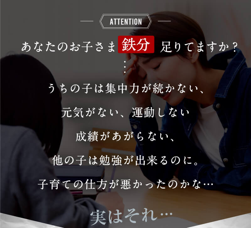 レヨンスタディフード