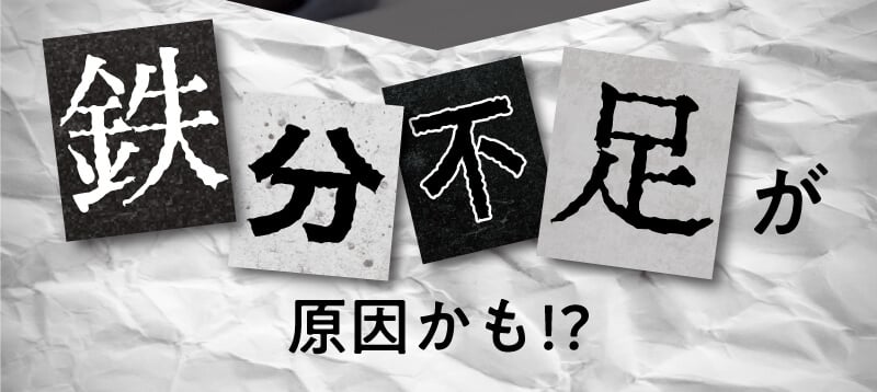 レヨンスタディフード