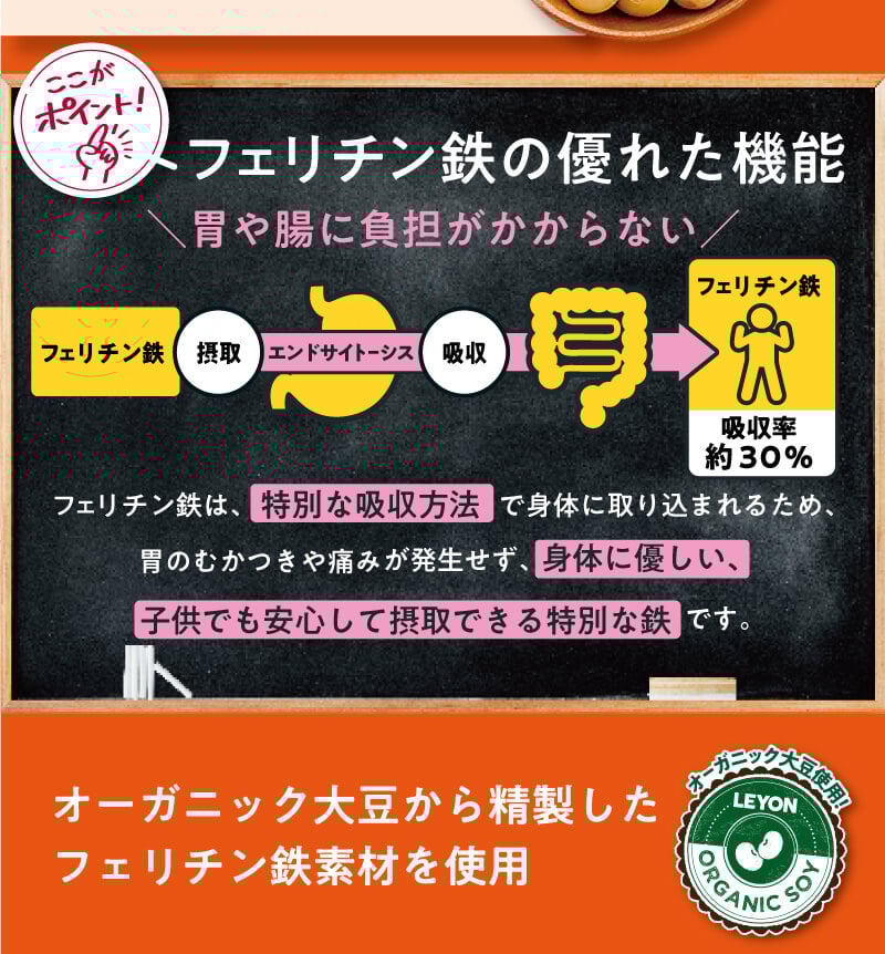 【りょうじ】LEYON レヨン　スタディフード　60包 スーパーフード - LEYON（レヨン）
