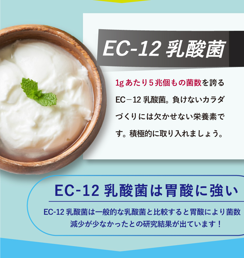 レヨンスタディフード