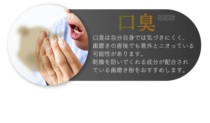 ホワイトニング歯磨き粉ホコロ