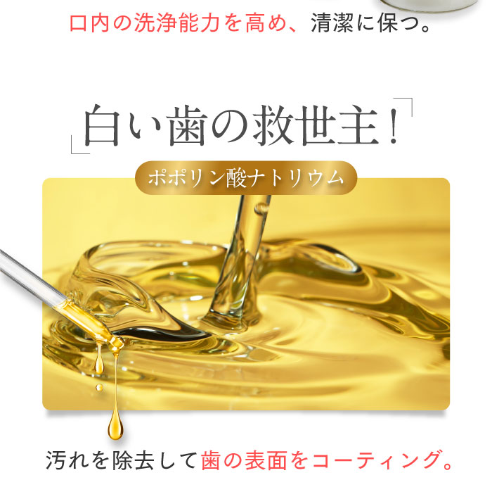 ホワイトニング歯磨き粉ホコロ
