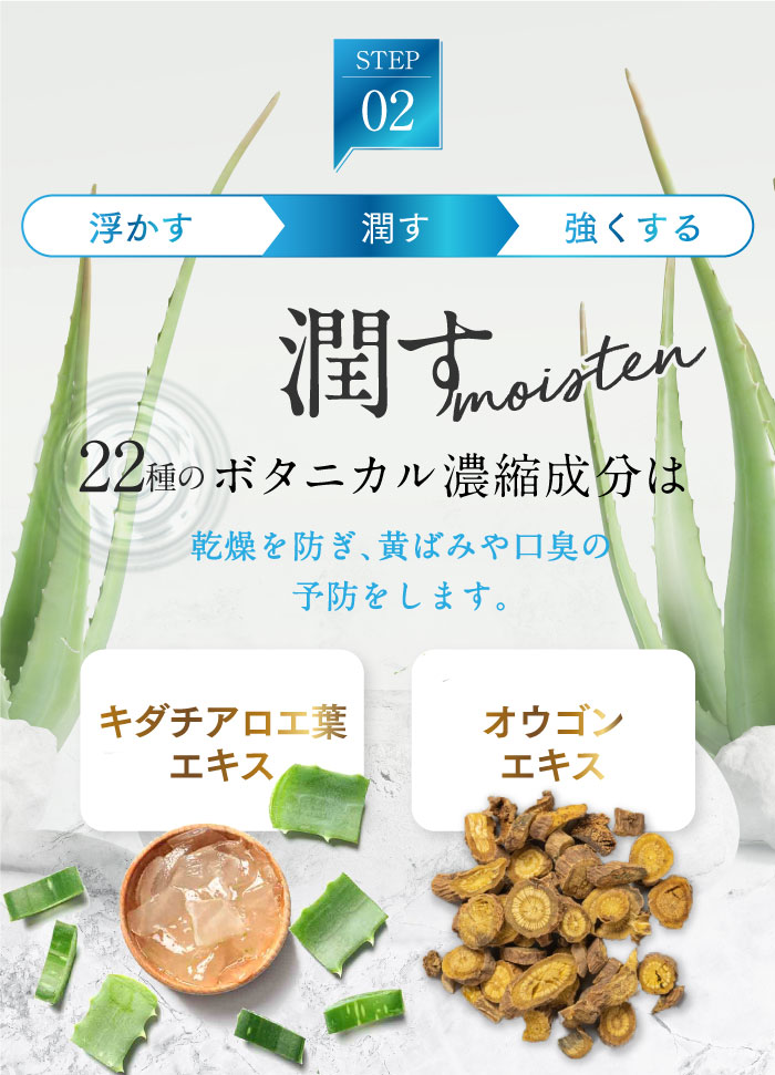 ホワイトニング歯磨き粉ホコロ