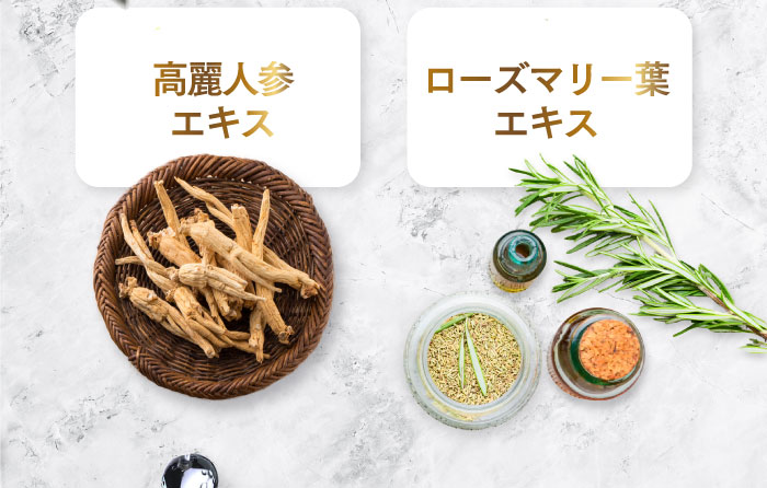 ホワイトニング歯磨き粉ホコロ