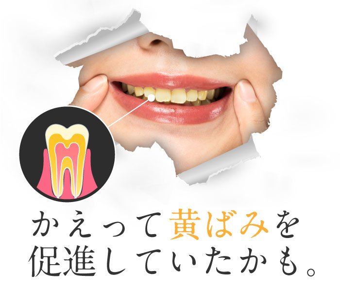 ホワイトニング歯磨き粉ホコロ