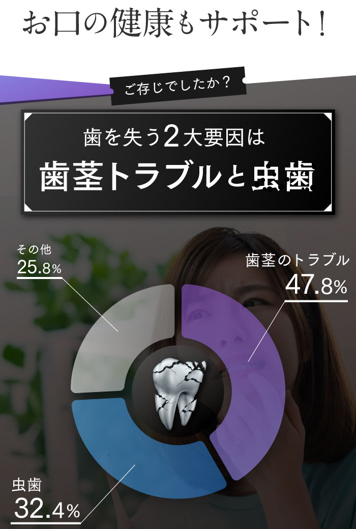 ホワイトニング歯磨き粉ホコロ