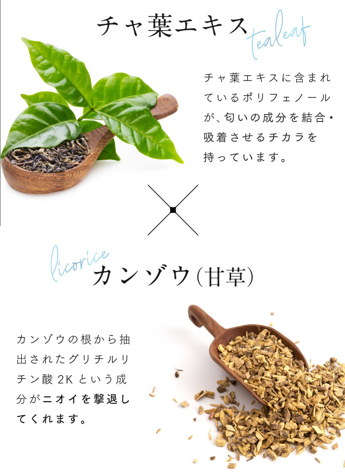 ホワイトニング歯磨き粉ホコロ