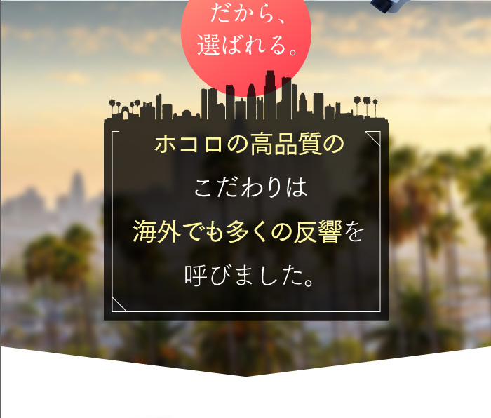 ホワイトニング歯磨き粉ホコロ