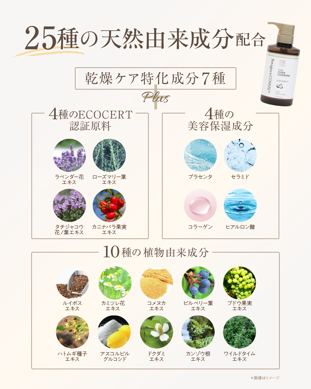 世田谷コスメ公式オンラインストア
