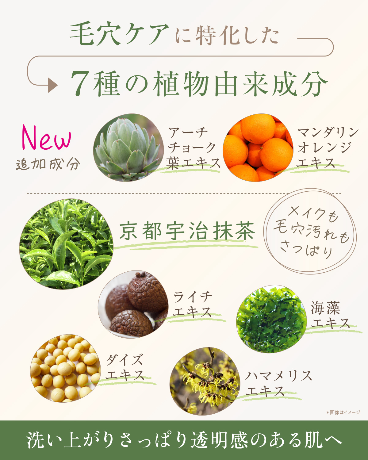 クリアクレンジング 京都宇治抹茶3本セット