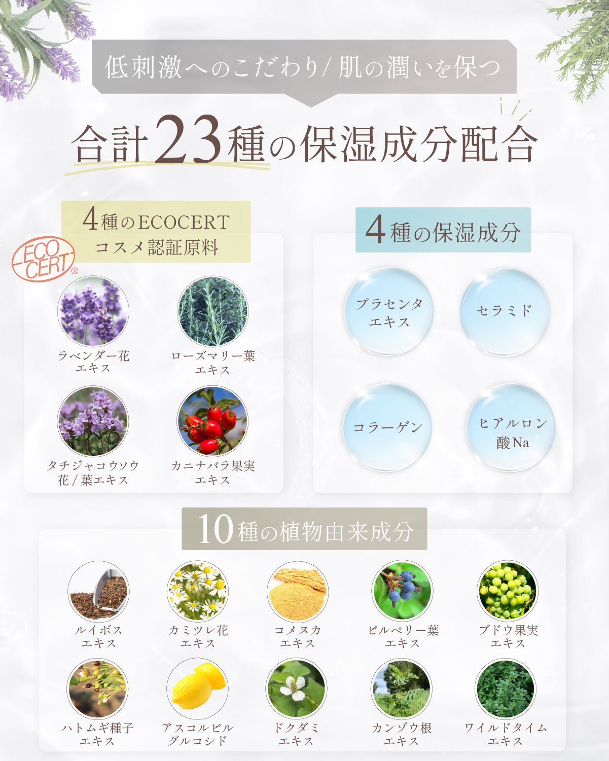 クリアクレンジング ココナッツ3本セット