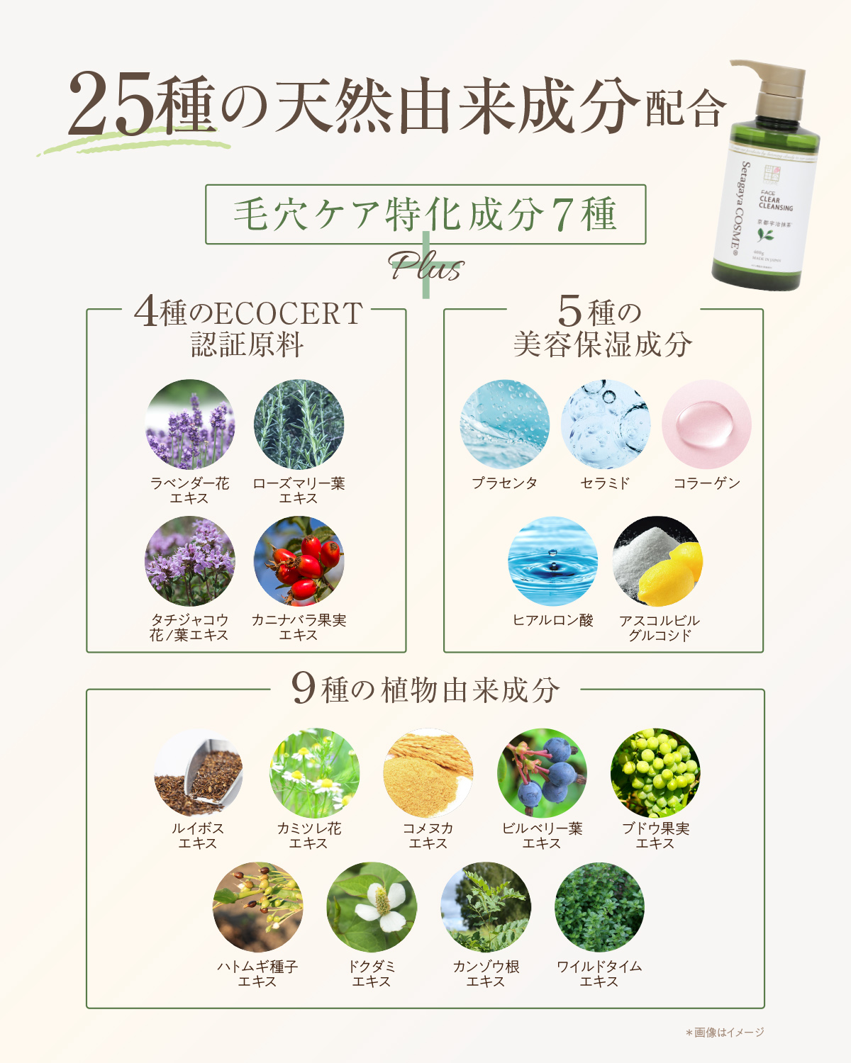 クリアクレンジング 京都宇治抹茶3本セット