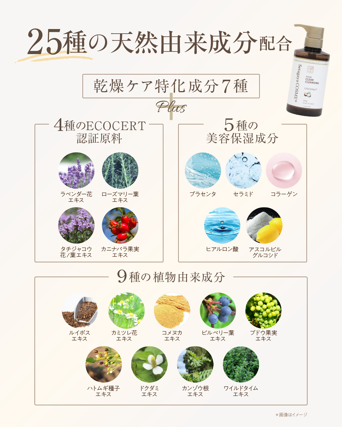 世田谷コスメ公式オンラインストア