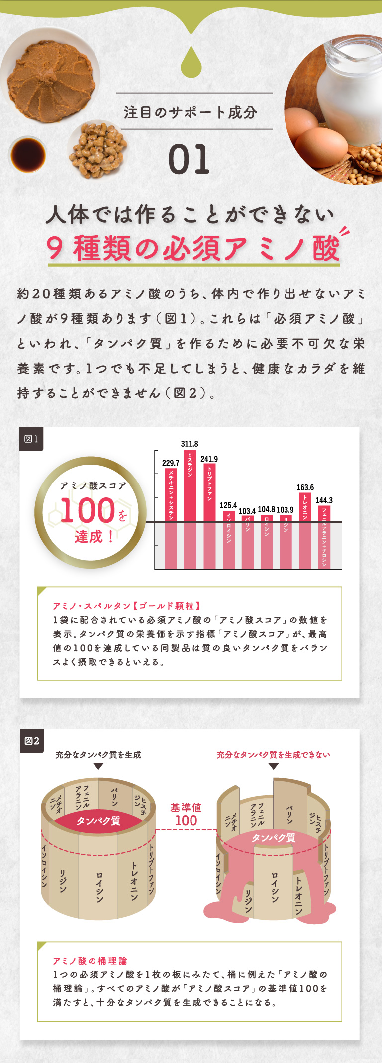 注目のサポート成分01　人体では作ることができない9種類の必須アミノ酸