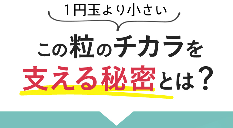 １円玉より小さいこの粒のチカラを支える秘密とは？