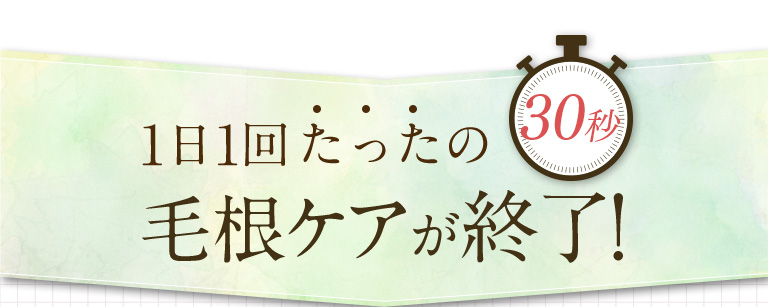 1日1回たったの30秒毛根ケア