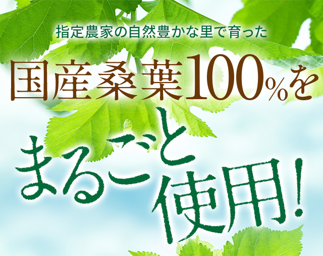 国産桑葉100％をまるごと使用
