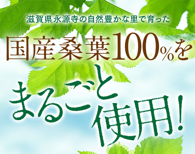 国産桑葉100％をまるごと使用