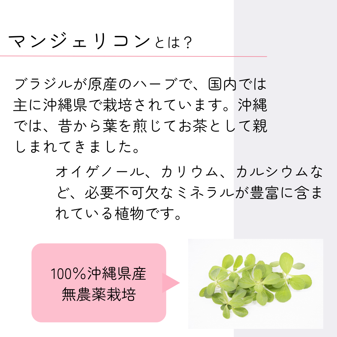 【定期便限定】AURA'ｎ+Manjericon（送料込）