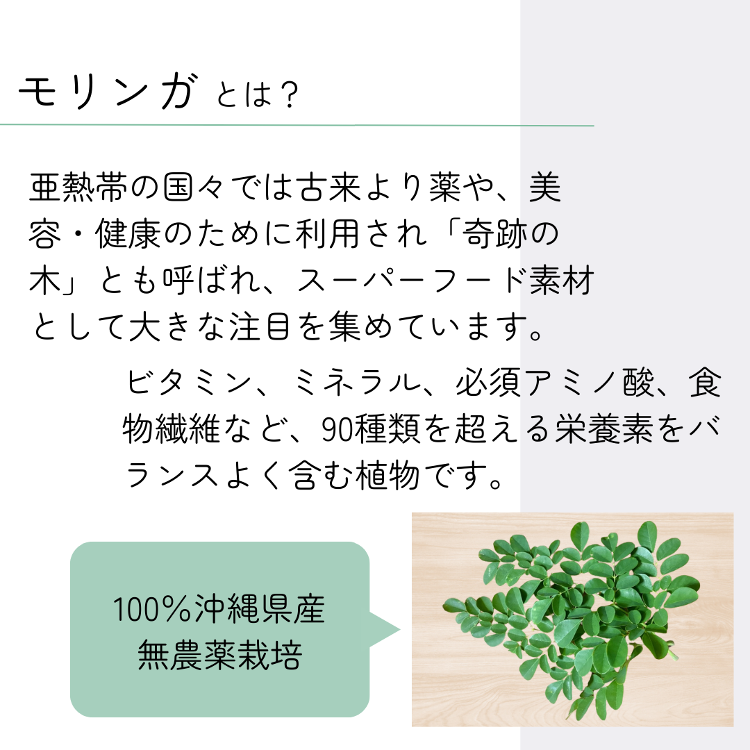 【定期便限定】AURA'ｎ+Moringa（送料込）