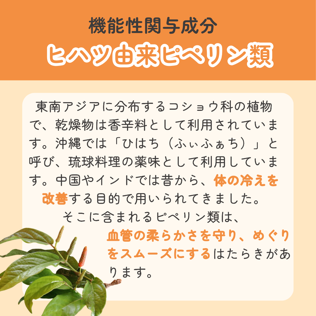 【定期便限定】samugarisan【送料込】年始キャンペーン