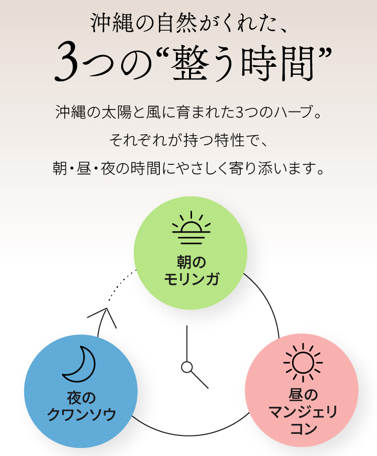 沖縄の自然がくれた、3つの“整う時間” 朝のモリンガ 昼のマンジェリコン 夜のクワンソウ