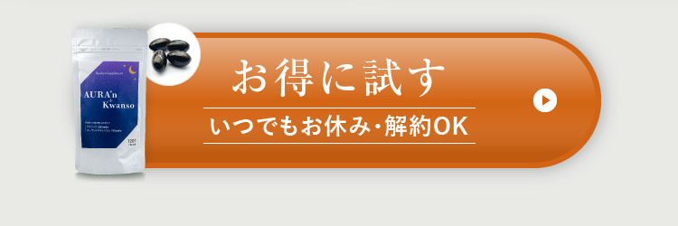 お得に試す-いつでもお休み・解約OK