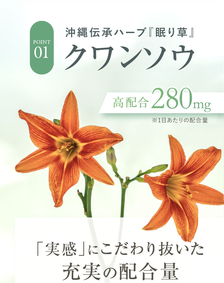 沖縄伝承ハーブ『眠り草』クワンソウ