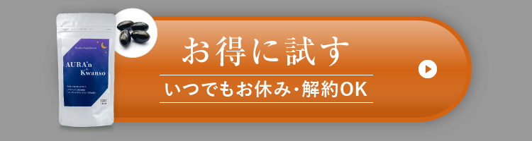 お得に試す-いつでもお休み・解約OK