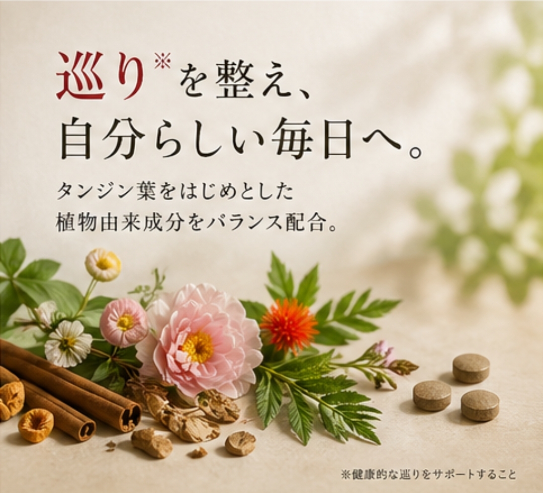 血管の再起動 SenToせんと【定期便 ※6か月で安心！自動解約】 「解毒と再生」を1粒に。女性に大人気サプリ！時短温活で40代からの」インナーケア