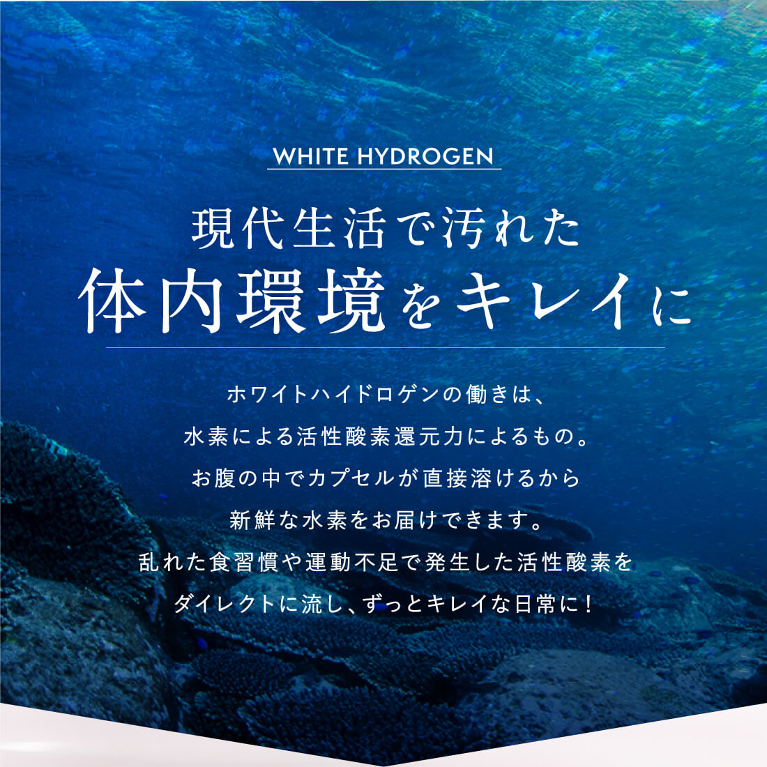 飲む水素！ホワイトハイドロゲン【定期便で￥3,300もお得に水素習慣】※6か月で安心！自動解約されます。
