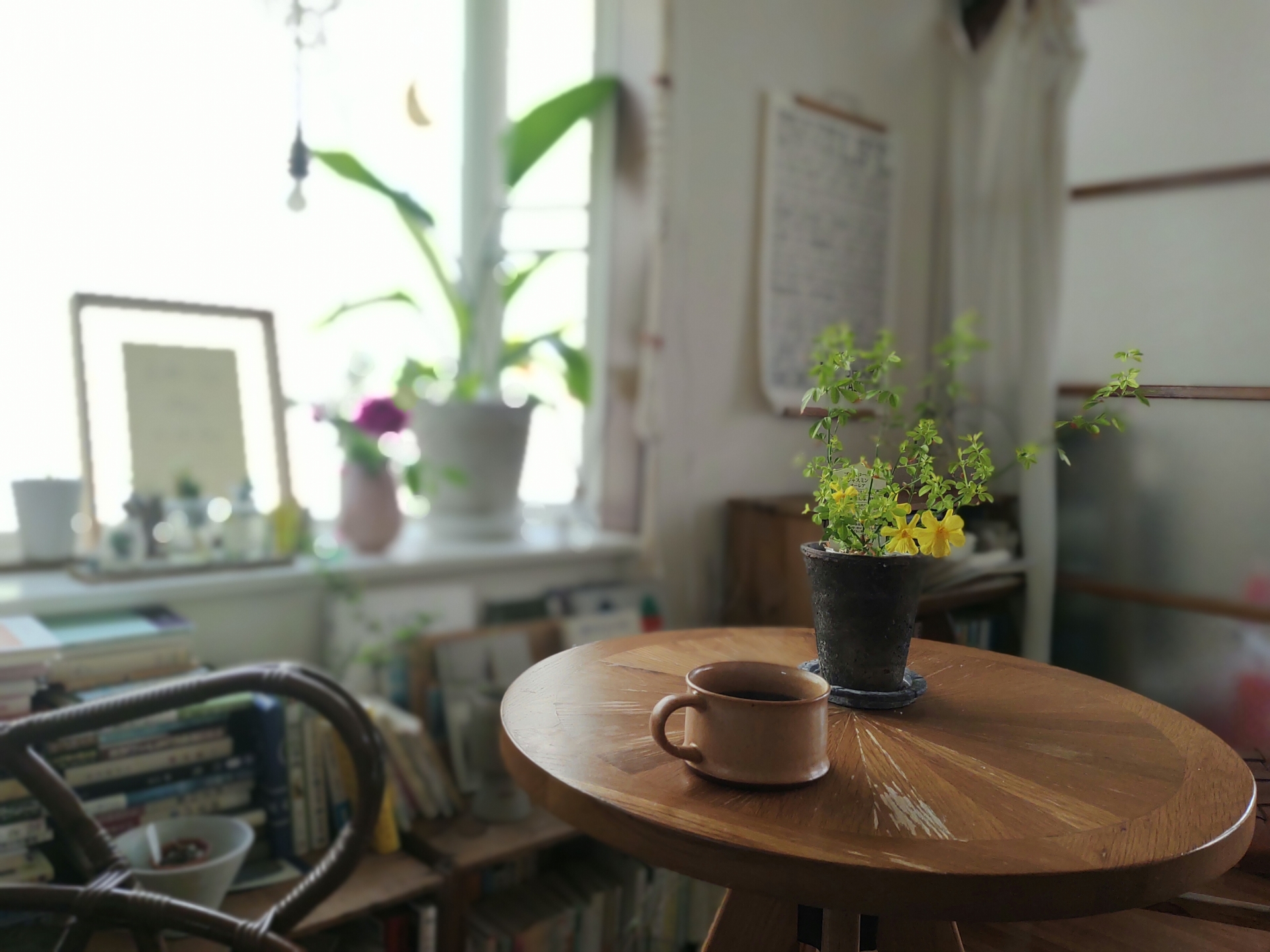 窓辺の明るい部屋