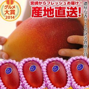 宮崎完熟マンゴー特大玉4玉【同梱・日付指定不可】（予約順次発送